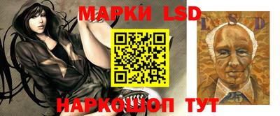 крисы Тулун