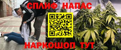 эйфоретик Тула
