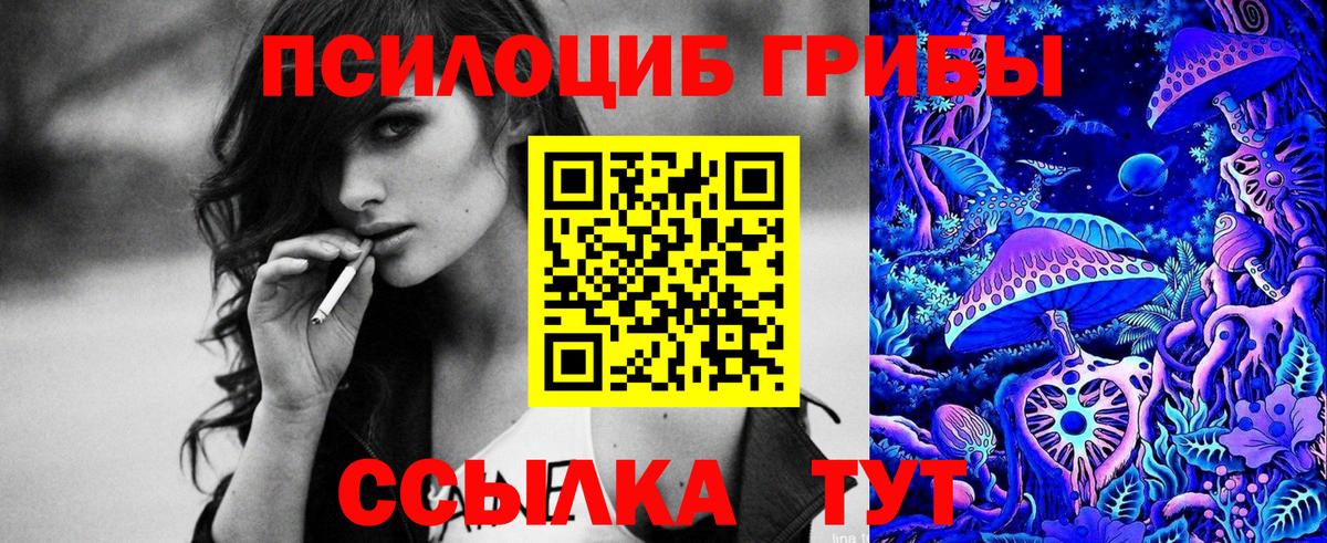 Новочеркасск  Галлюциногенные грибы Cubensis  Вход с VPN 